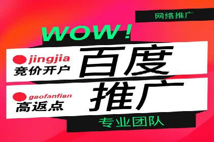 百度SEM竞价推广的关键词选择与优化：一则成功的广告案例